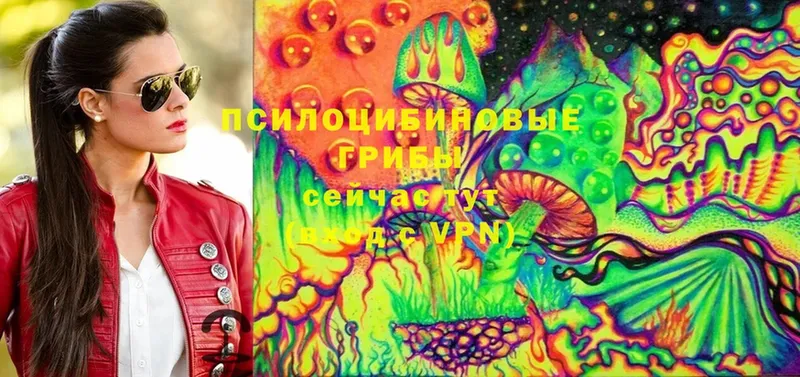 Псилоцибиновые грибы MAGIC MUSHROOMS  где можно купить   Волжск 